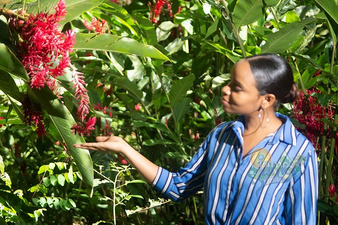 St. Lucia Botanical Gardens and Waterfall Tour Groups Only - Reviews and Feedback