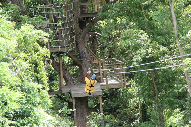 St. Lucia Morne Coubaril Estate Zipline Experience - Confirmation and Availability