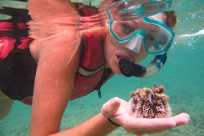 St Thomas Mangrove Lagoon Kayak and Snorkel Tour in the US Virgin Islands - Meeting and Pickup Information