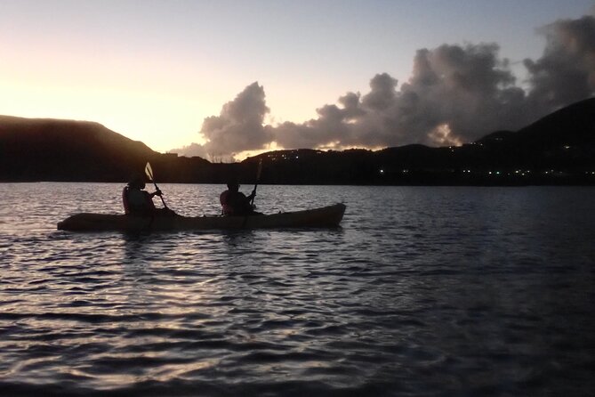 St Thomas Night Kayak Tour - Nocturnal Marine Life Sightings