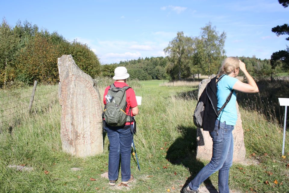 Stockholm Icelandic Horses, Countryside and Swedish History - Icelandic Horses