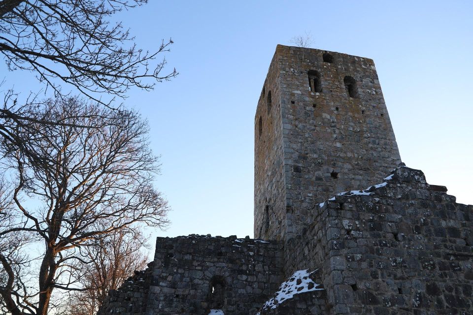 Stockholm: Sigtuna and Uppsala Viking History Day Tour - Vallentunas Viking Assembly Site