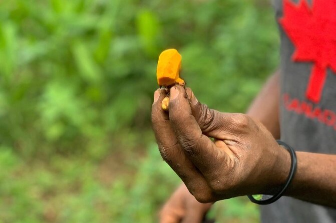 Stone Town and Spice Tour ( Lunch Included ) - Inclusions