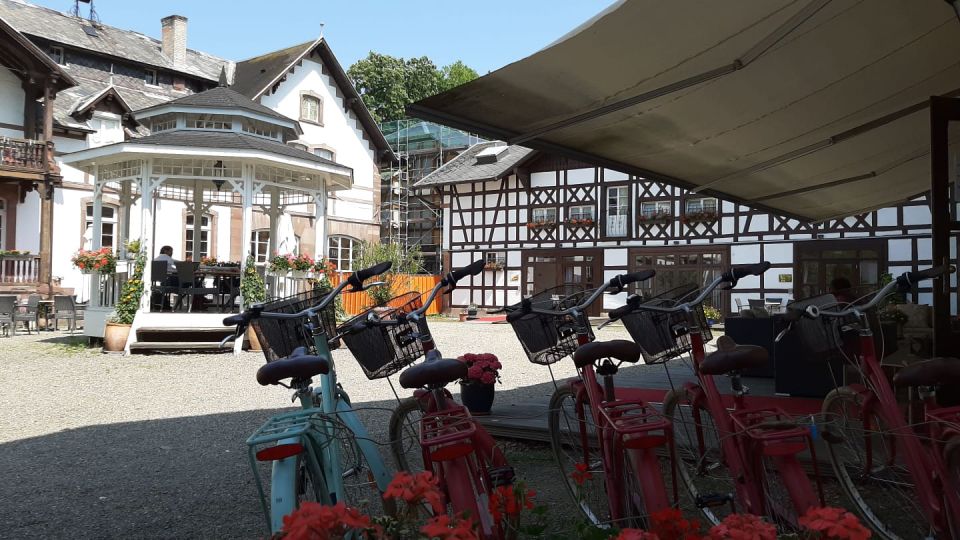 Strasbourg: Bike Tour With a Guide - Tour Details