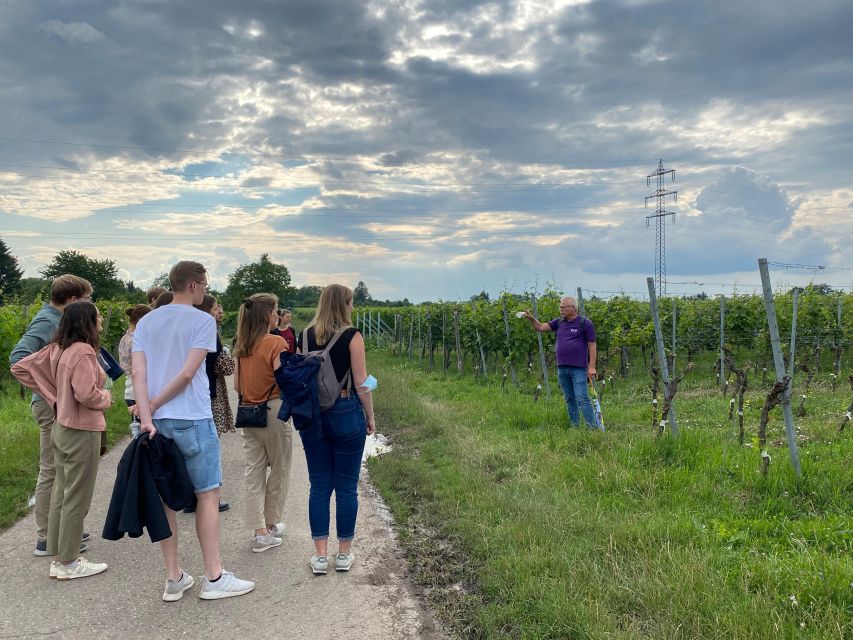 Stuttgart: Wine Tour With Wines of the Best Winemakers - Tour Highlights