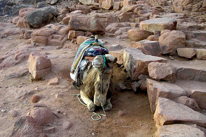 Sunrise at Mt.Sinai and St.Catherine Monastery. Entrance Included - Transportation and Guidance