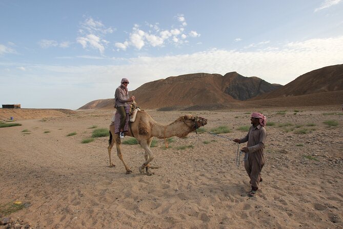 Sunset Camel Ride in Agadir or Taghazout With Transfers - Cancellation Policy