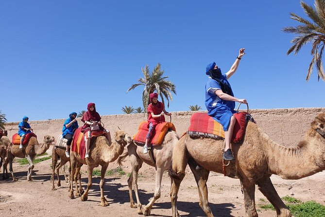 Sunset Camel Ride Marrakech Palmeraie - Camel Riding Lessons Offered