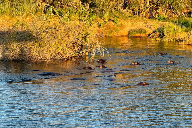 Sunset Cruises on the Zambezi River From Victoria Falls - Departure and Schedule