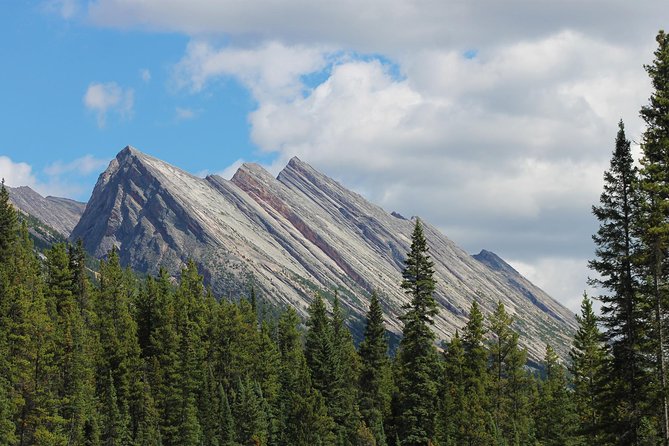 Sunwapta Challenge Whitewater Rafting: Class III Rapids - Whitewater Rafting in Jasper