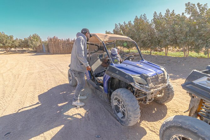 Super Safari ATV Quad, Buggy, Jeep, Camel and Dinner - Hurghada - Inclusions