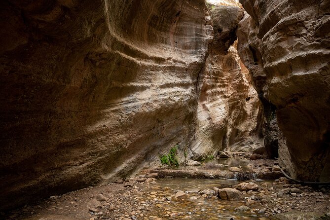 Surf and Turf Full Day Jeep & Boat Combination Tour From Paphos - Exploring the Akamas Peninsula