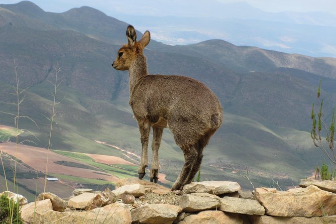 Swartberg Mountain Circular ALL Inclusive PRIVATE Day Tour - Included Features