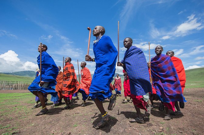 Tanzania Safari - The Great Migration in the North of the Serengeti and Lake Natron - Exclusions