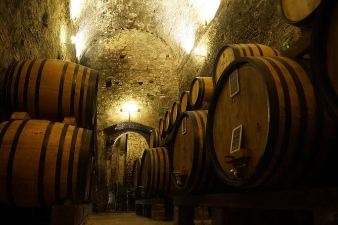 Tasting Tour in One of The Most Beautiful Cellars in the World - Exploring the Authentic Wine Cellar