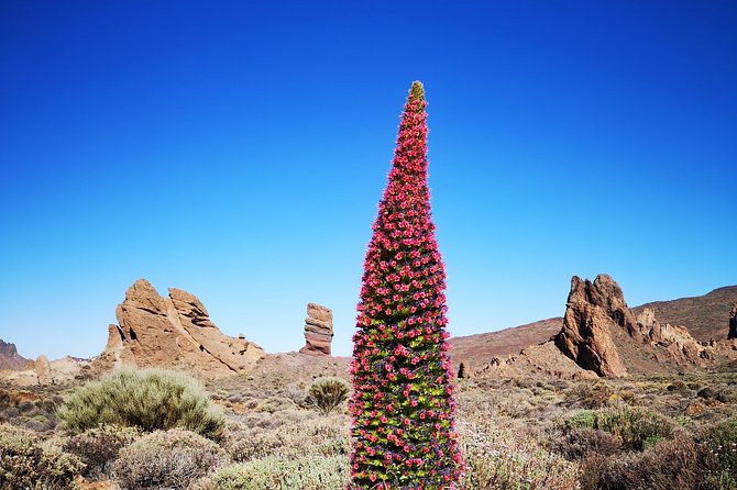 Teide National Park for Smaller Groups - Hike to Samara Volcano