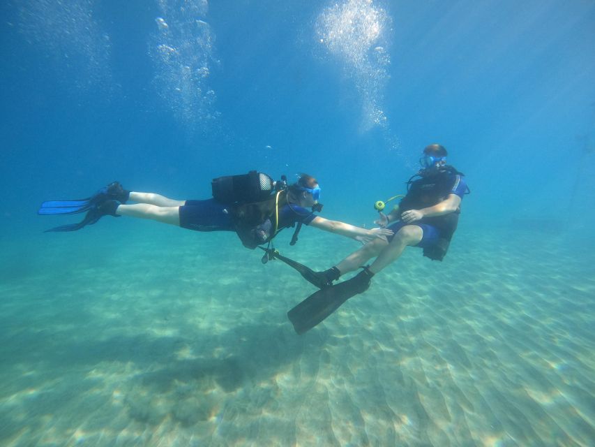 Tenerife: PADI Open Water Diver Course - Diving Certification