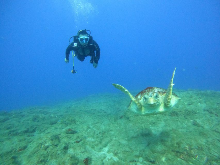 Tenerife: PADI Rescue Diver Course - Crucial Rescue Techniques