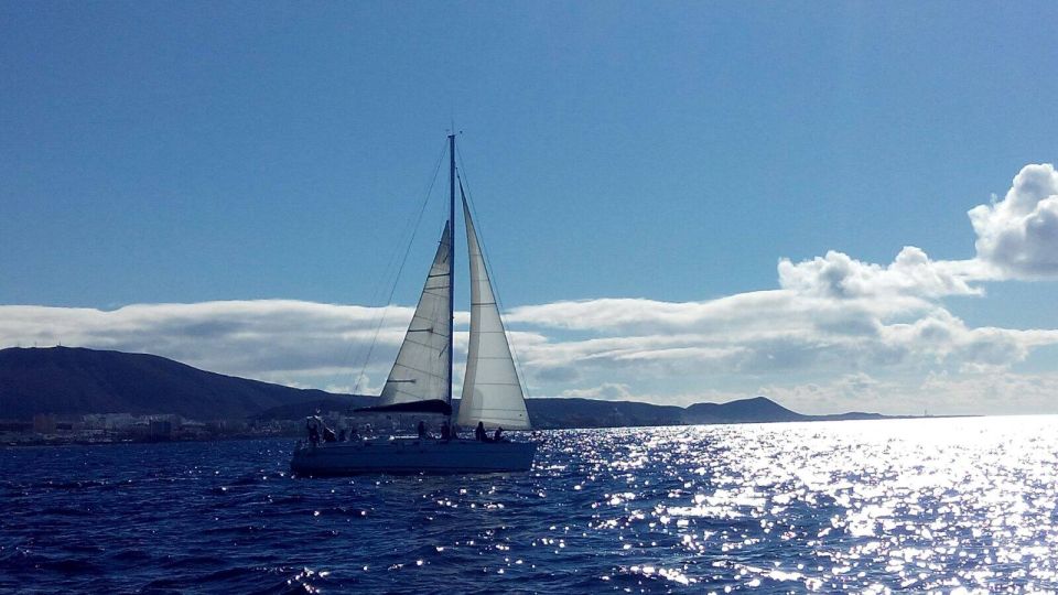 Tenerife: Private or Group 3 Hour Sailing Cruise With Drinks - Cruise Itinerary