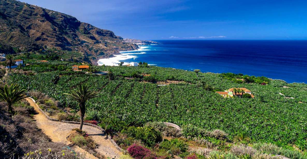 Tenerife Private Tour: Full-Day Historic North - Itinerary Overview