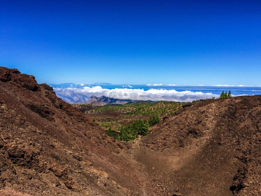 Tenerife Private Tour: Full-Day Volcanic South - Dramatic Formations of Ensenada Pelada