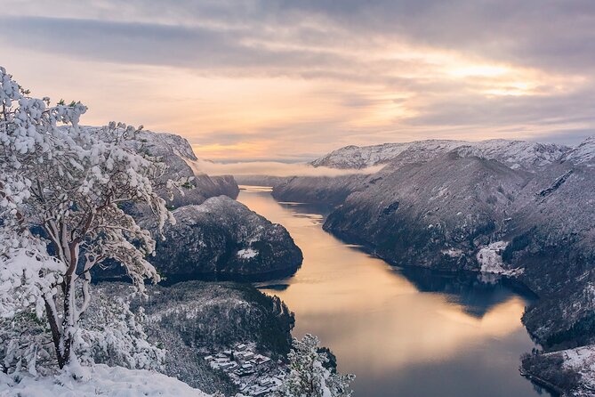 The Best Fjordcruise: Bergen Fjord by Zodiac or Pontoon Boat - Boat Tour Options