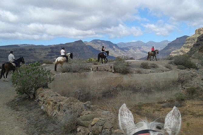 The Best Horse Riding Experience in Gran Canaria (2 Hours) - Included Amenities and Pickup