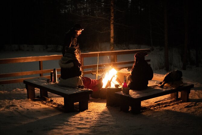 The NIGHT BARBECUE a Call for Auroras - Barbecue Under the Stars