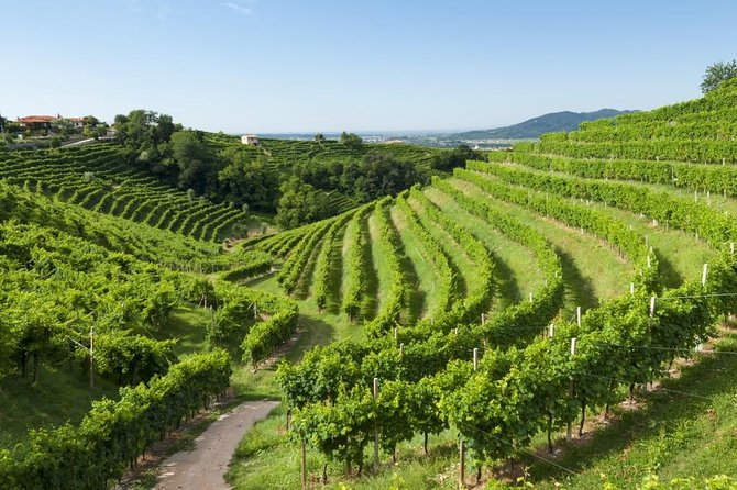 The Original Private Prosecco Tour All Inclusive From Conegliano - Meeting and Pickup Details