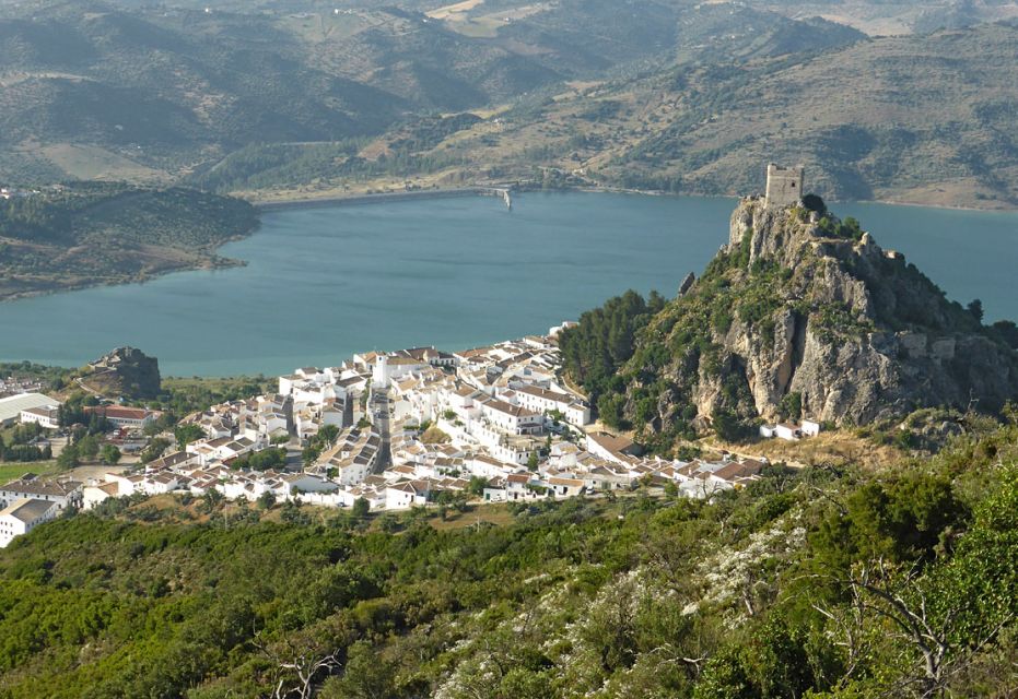 The White Towns of Andalusia: Private Day Trip From Cadiz - Whitewashed Houses and Tiled Roofs