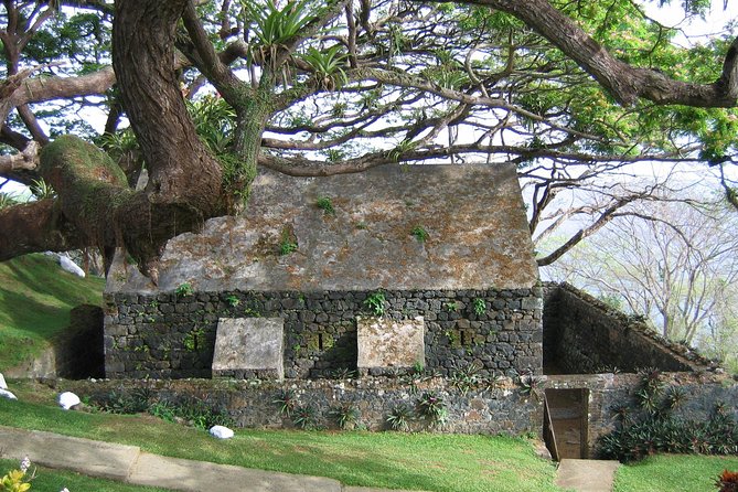 Tobago Island Tour - Discover Tobagos Charm