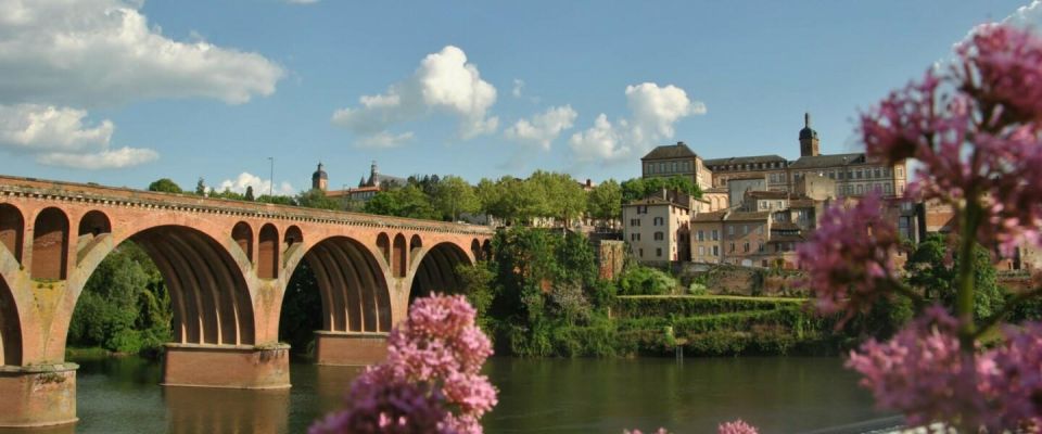 Toulouse: Guided Tour of the Historic Center - Highlights of the Tour