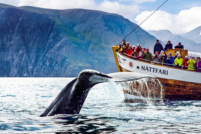 Traditional Oak Ship Whale Watching Tour From Husavik - Expert Guide Commentaries