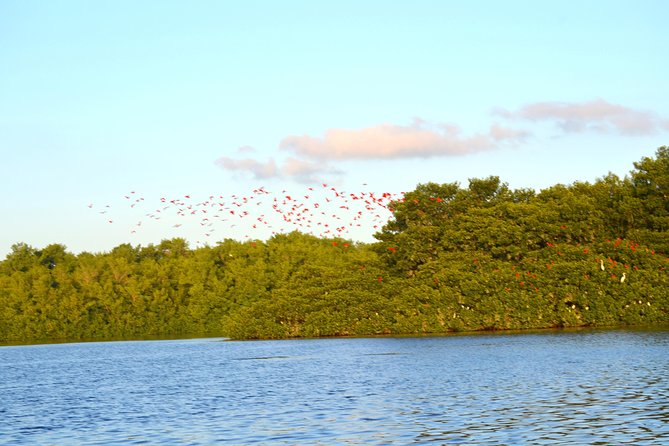 Trinidad Northern Eco-Cultural Full-Day Highlights Tour From Port of Spain - Savoring Bake and Fish Sandwich