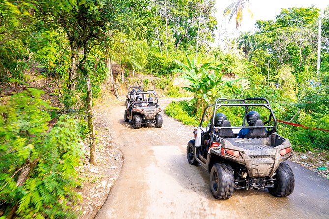 Triple Fun! Monkeyland + Damajagua Waterfalls + Buggies From Puerto Plata - Cascading Damajagua Waterfall Adventure