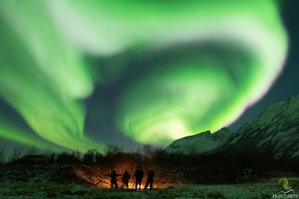 Tromsø: Northern Lights Trip With Campfire and Snacks - Northern Lights Highlights