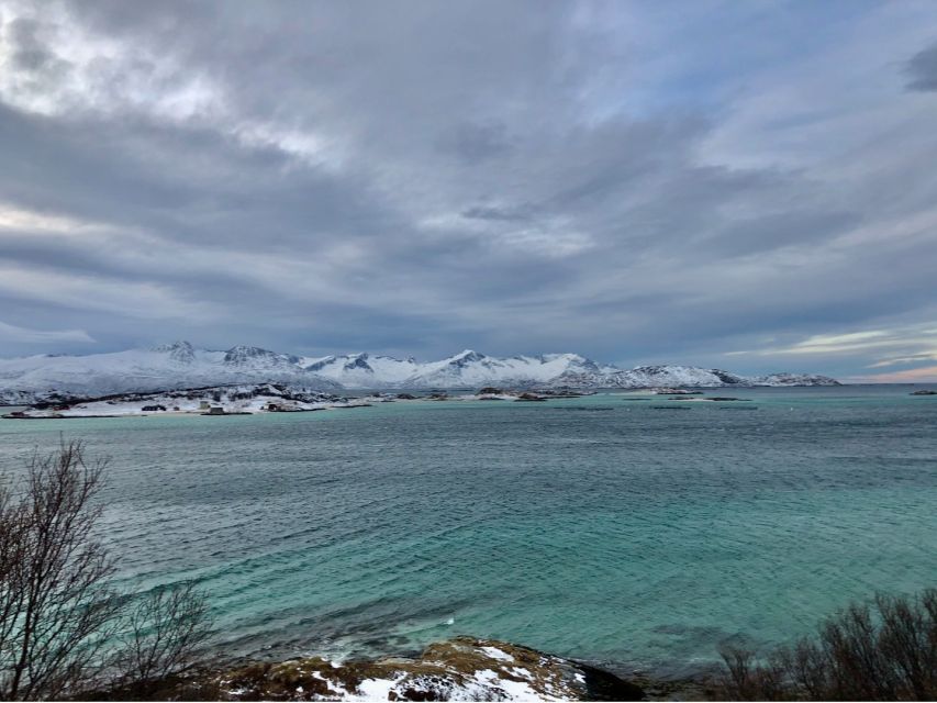 Tromsø. Tour Around Fjords & Islands, Including Sommarøy. - Taste Local Food and Salmon