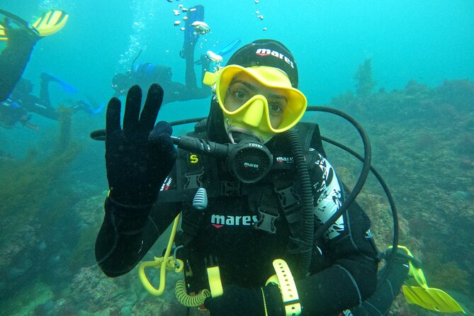 Try Scuba Diving in Arrabida Natural Park (Near Lisbon) With Pictures - Meeting Point and Pickup