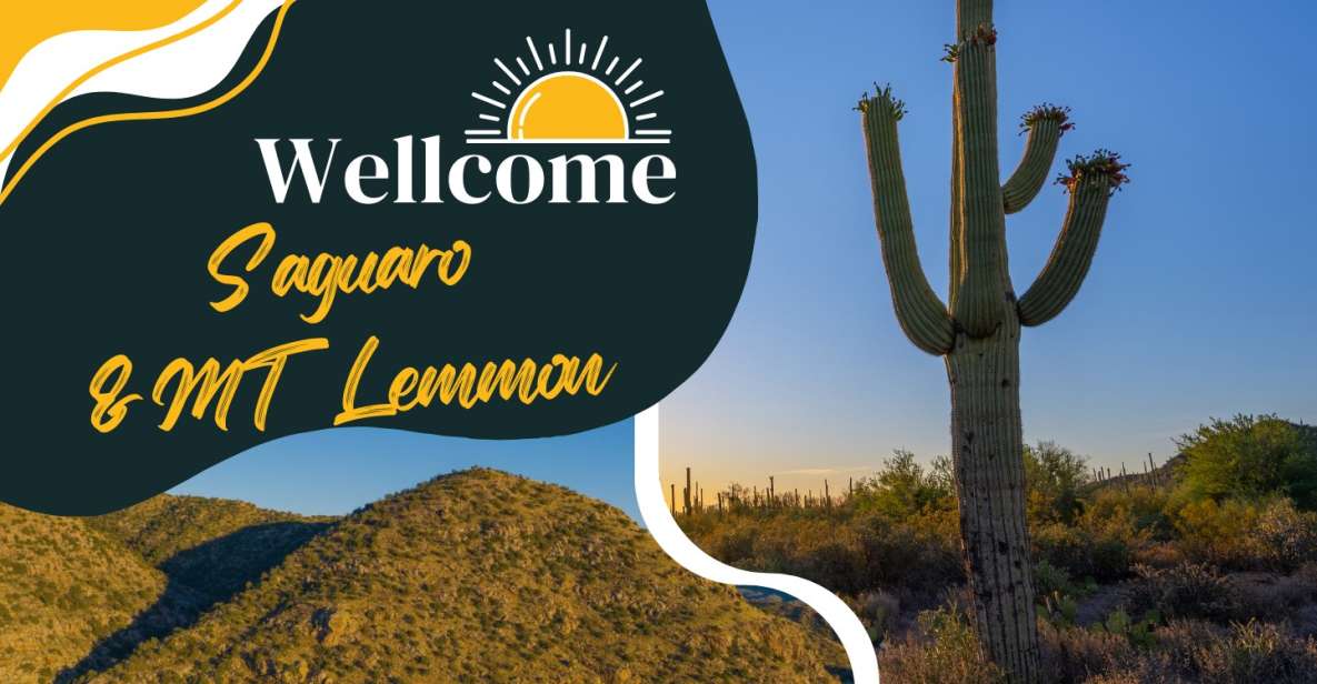 Tucson: Mt Lemmon & Saguaro NP Self-Guided Bundle Tour - Discover Arizonas Natural Beauty