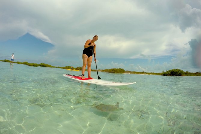 Turtle Eco Tour on Stand-Up Paddleboards or Kayaks Into the National Marine Park - Schedule