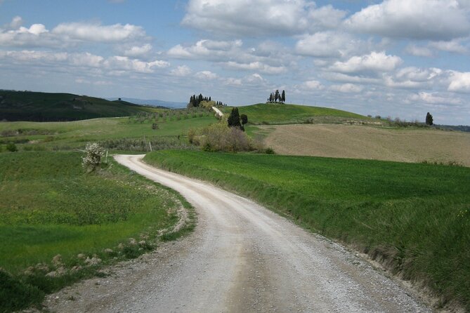 Tuscany Hiking Tour From Siena Including Wine Tasting - Whats Included in the Tour