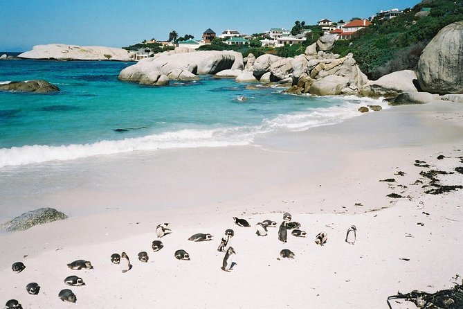 Ultimate Cape Point Tour From Cape Town - Full Day - Tour Details