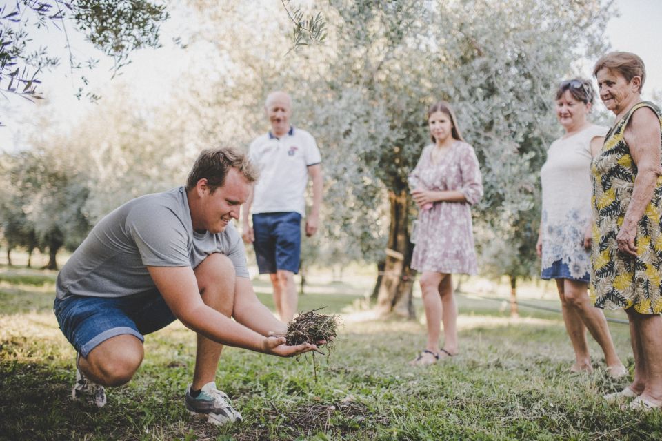 Umag: Olive Oil, Wine, and Local Food at a Family Farm - Culinary Highlights