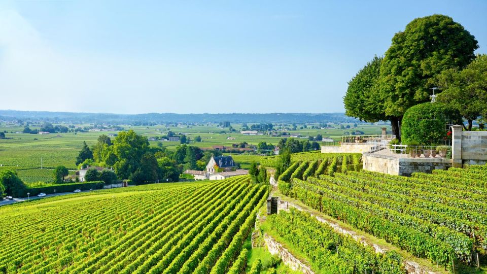 UNESCO Heritage and Wine Delights Private Tour From Bordeaux - Pickup and Transportation