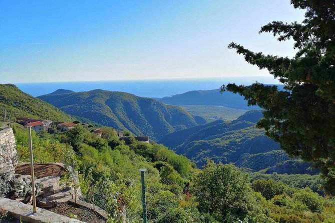 Unique Lunch Experience With Locals in High Hills Above Budva! - Culinary Experience