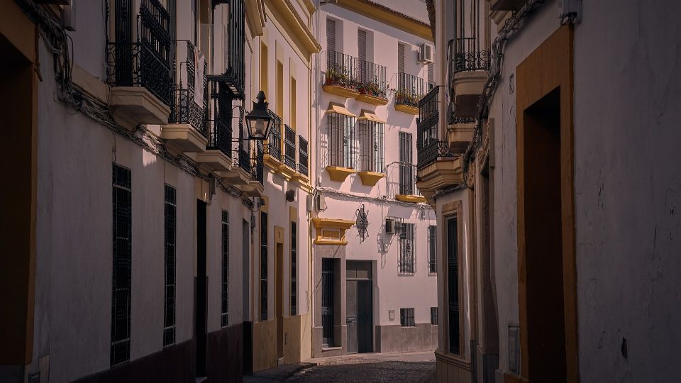 Valencia - Private Historic Walking Tour - Key Highlights