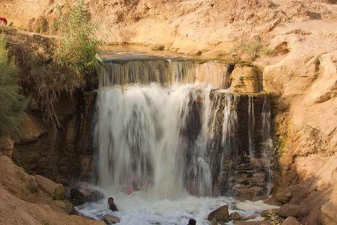 Valley of Whales and Wadi El Rayan Water Falls Day Tour From Cairo - Sightseeing Highlights