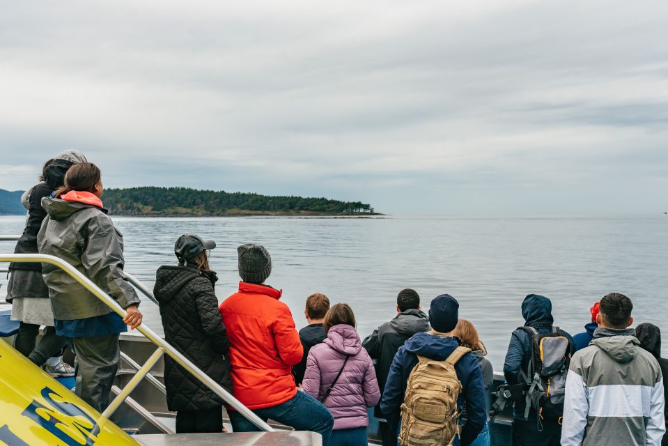 Vancouver, BC: Whale Watching Tour - Inclusions