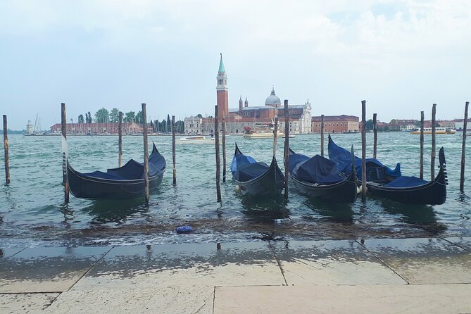 Venice Full-Day Guided Tour From Milan - Inclusions and Exclusions