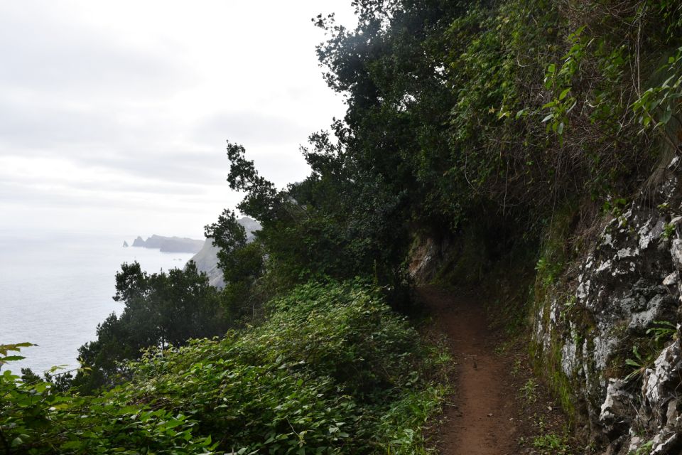 Vereda Do Larano (Larano Hike) by Overland MadeiraThe Larano Hike Is a Trail Located in Madeira, Portugal. It Is Operated by the Tour Company Overland Madeira - Pricing and Booking Details